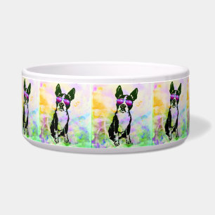 Cuenco del mascota de Boston Terrier