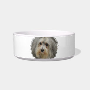 Cuenco del mascota de Havanese
