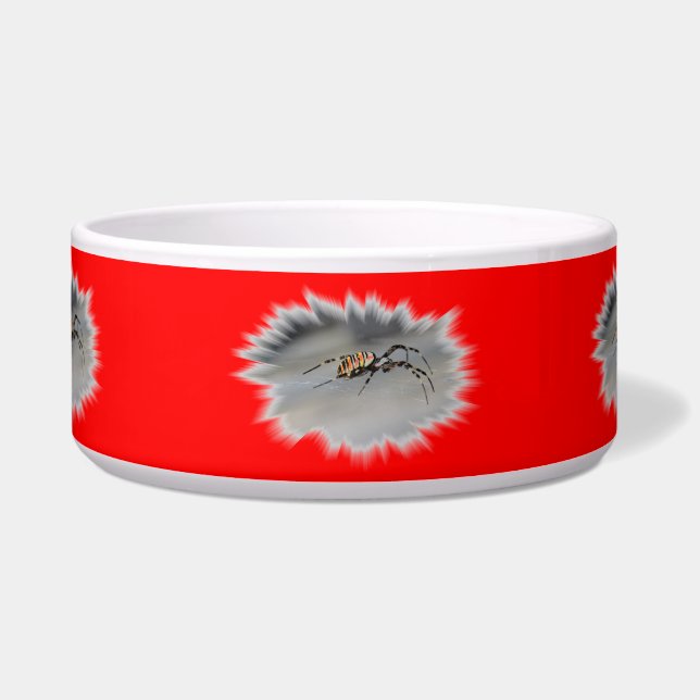 Cuenco del mascota de la araña (Frente)