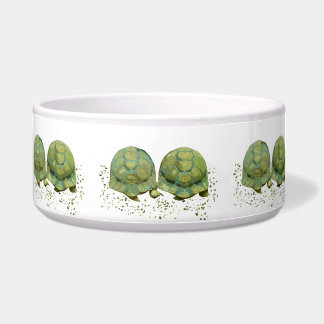 Cuenco del mascota de las tortugas del dibujo