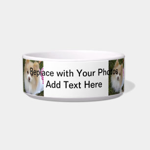 Cuenco del perro de la foto