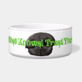 Cuenco del perro de la nariz