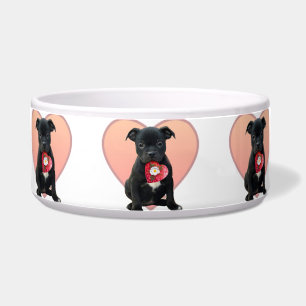 Cuenco del perro de perrito de Stafforshire bull