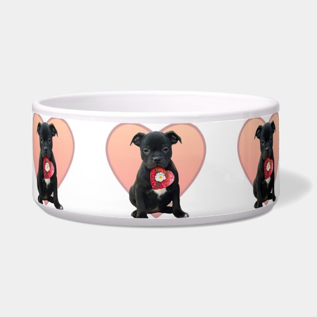 Cuenco del perro de perrito de Stafforshire bull (Frente)