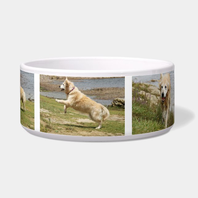 Cuenco del perro del golden retriever (Derecha)