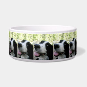 Cuenco grande del alimento para animales con el