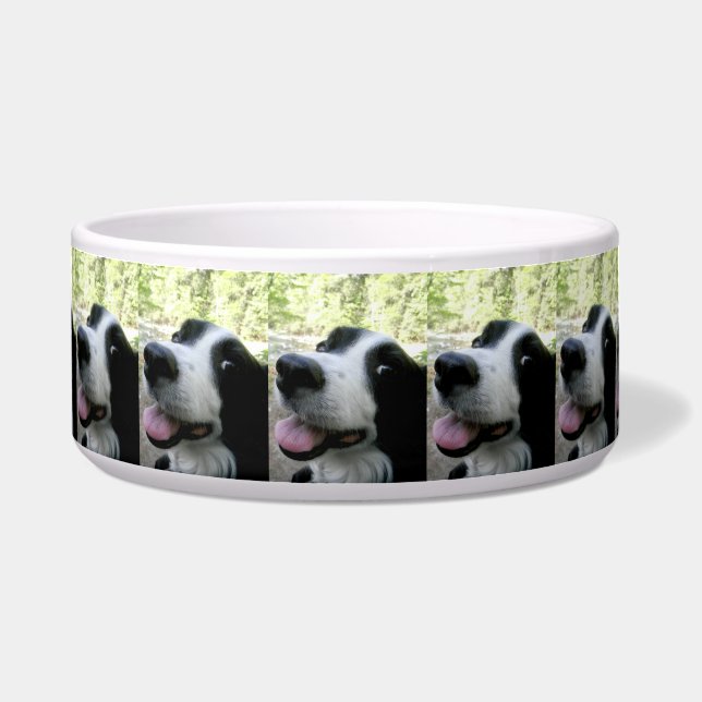 Cuenco grande del alimento para animales con el (Frente)