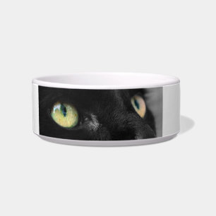 Cuenco negro afortunado de la comida para gatos