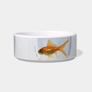 Cuenco para gatos con imagen de peces