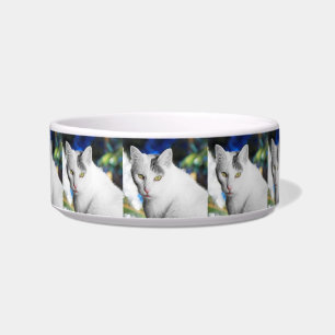 Cuenco personalizado de la comida para gatos de la