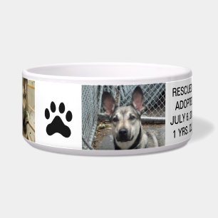 Cuenco personalizado del perro para su mejor amigo