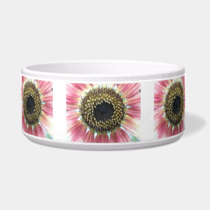 Cuenco rosado bonito del perro del girasol