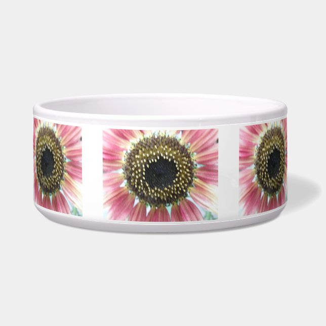 Cuenco rosado bonito del perro del girasol (Frente)