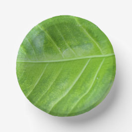 Cuencos De Papel Bolera de papel de 7 pulgadas con una hoja verde e