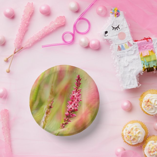 Cuencos De Papel colorido (Fiesta)