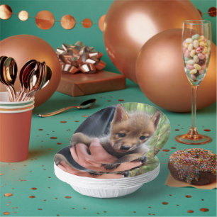 Cuencos De Papel Coyote Cub