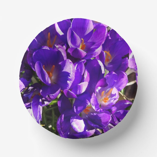 CUENCOS DE PAPEL CROCUS DE PRIMAVERA (Anverso)