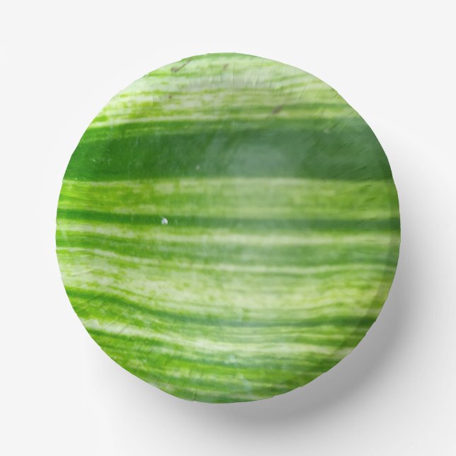 Cuencos De Papel Diseño de hoja natural de 7 pulgadas en verde oscu (Anverso)