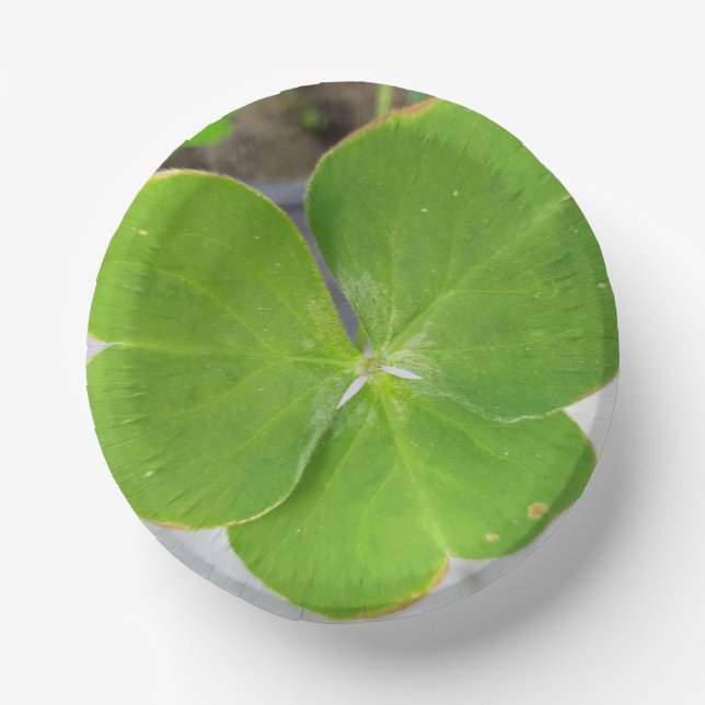 Cuencos De Papel Elegante Diseño De Tres Hojas De 7 Pulgadas (Anverso)