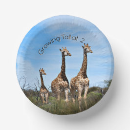 Cuencos De Papel Growing Tall Safari Bowlful