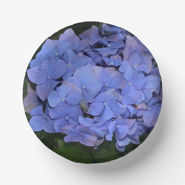 Cuencos De Papel Hortensia macrophylla Morada Rústica (Anverso)
