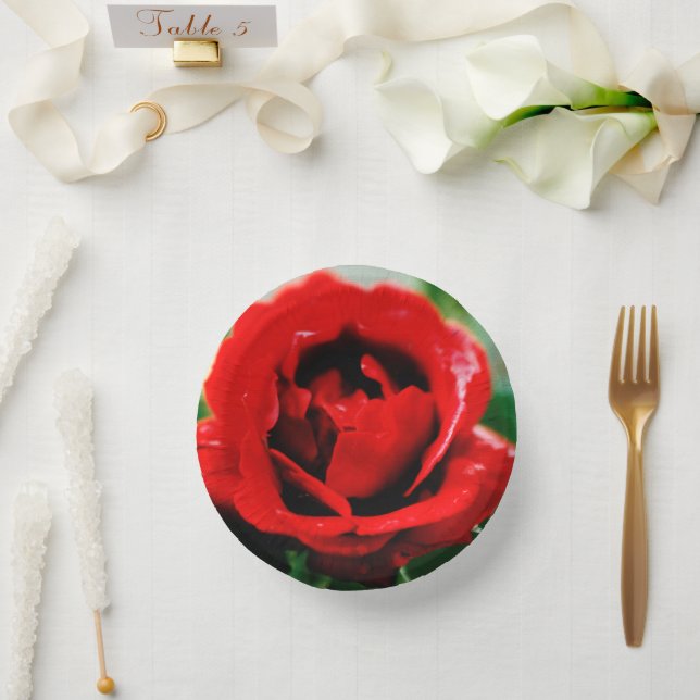 Cuencos De Papel Magnífico Amor Rojo Rosa (Boda)