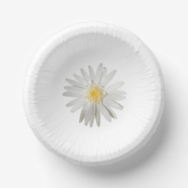 Cuencos De Papel placa de papel