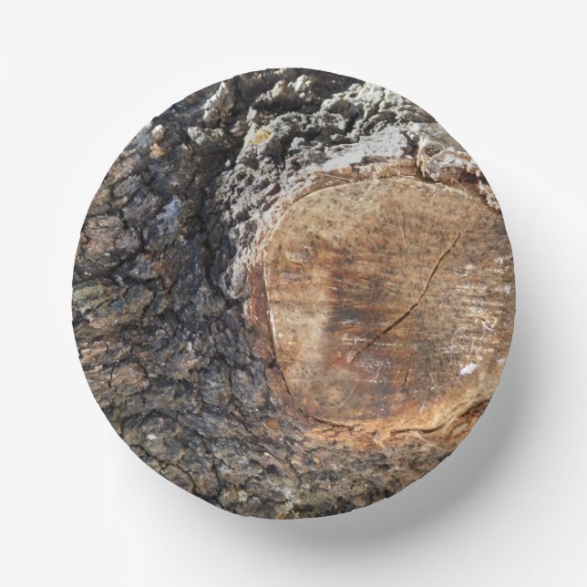 Cuencos De Papel placa de papel (Anverso)