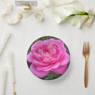 Cuencos De Papel Rosa Rosa Romántica 'Leonardo Da Vinci'   