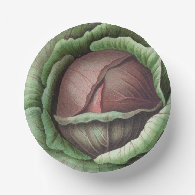 Cuencos De Papel Tazón de papel Cabbageware (Anverso)