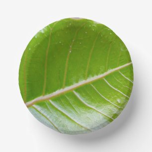 Cuencos De Papel Tazón de papel con diseño de hoja
