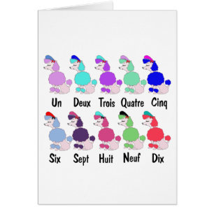 Cuenta del caniche francés