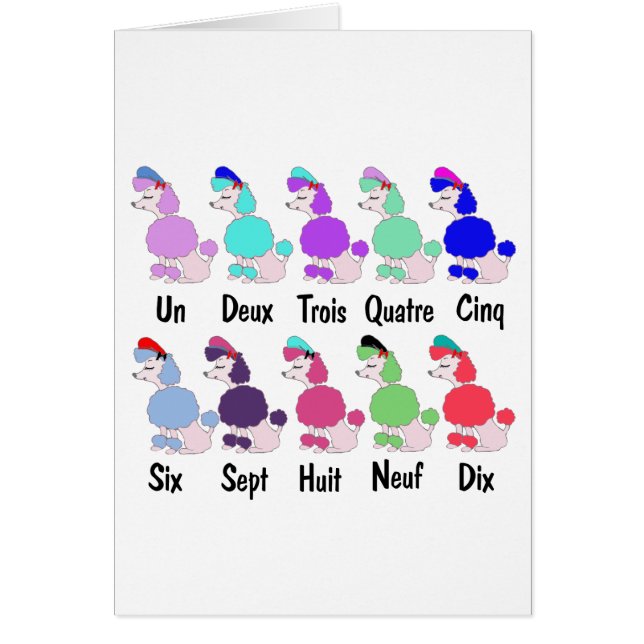 Cuenta del caniche francés (Frente)