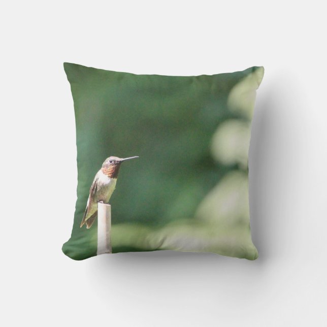 Cuenta tu almohada de bendiciones (Anverso)