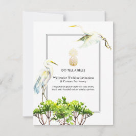 Cuentale a una Belle Promo