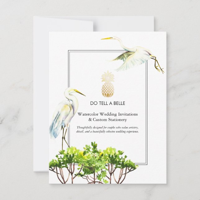 Cuentale a una Belle Promo (Anverso)