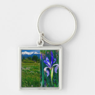 Cuerno de elk e cadena de llavero de iris