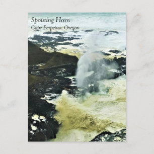 Cuerno de spouting, Cabo Perpetua, postal costero