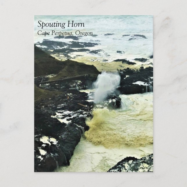 Cuerno de spouting, Cabo Perpetua, postal costero  (Anverso)