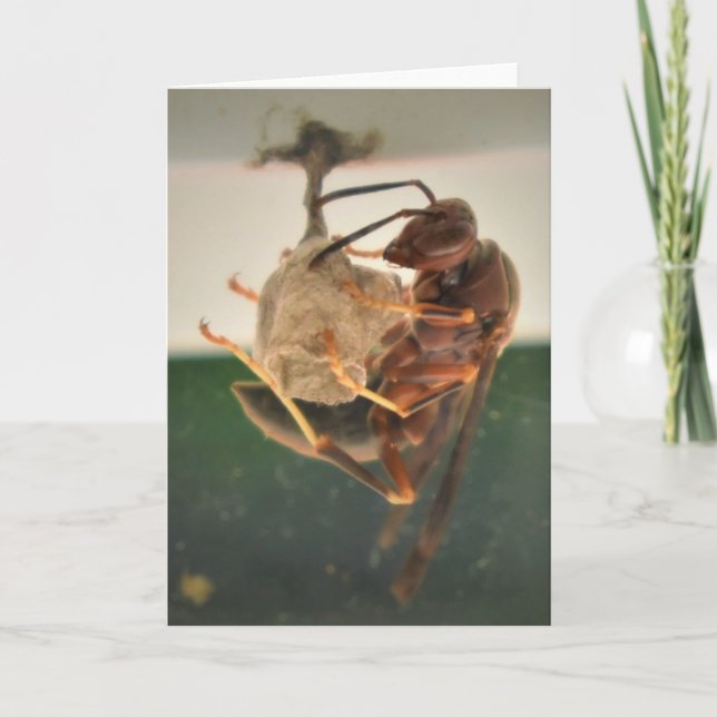 Cuerno, tarjeta (Anverso)