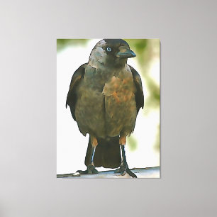 Cuerpo de gallo negro encaramado en un arte de bal