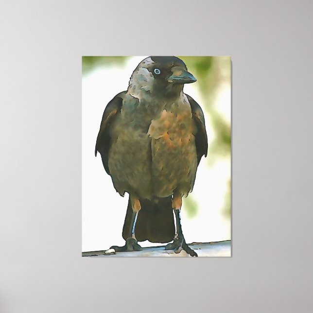 Cuerpo de gallo negro encaramado en un arte de bal (Anverso)