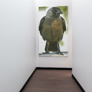 Cuerpo de gallo negro encaramado en un arte de bal
