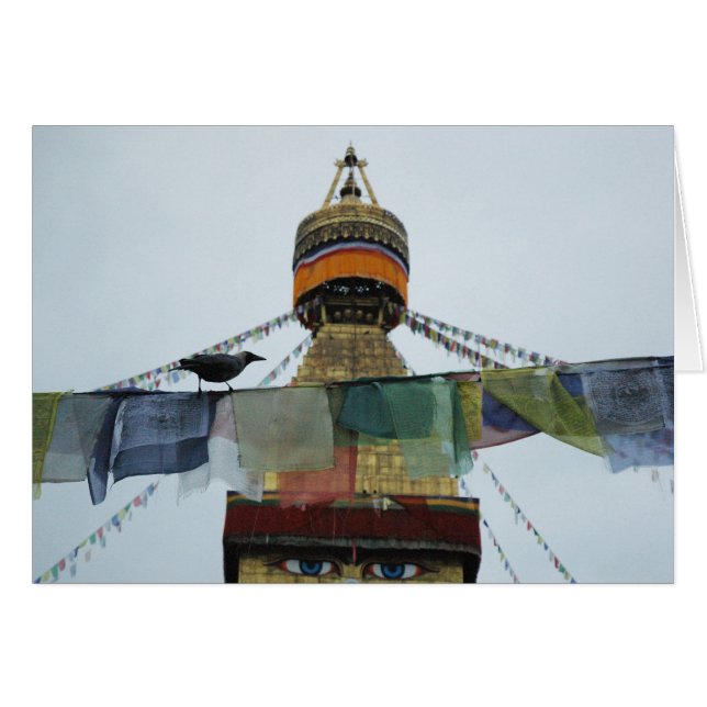 Cuervo de casa en los rezos Bodha Stupa, Nepal (Anverso (Horizontal))