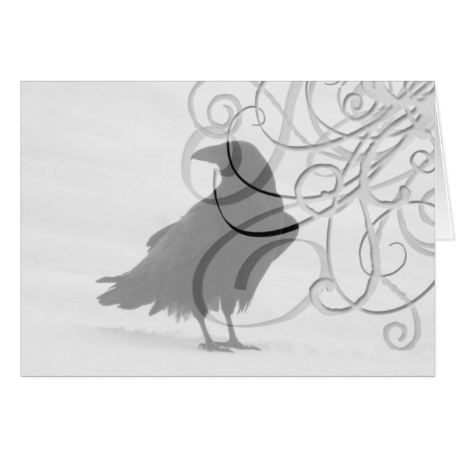 Cuervo orgulloso (Anverso (Horizontal))