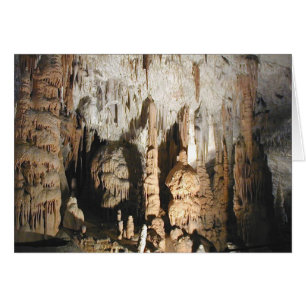 Cuevas Postojna