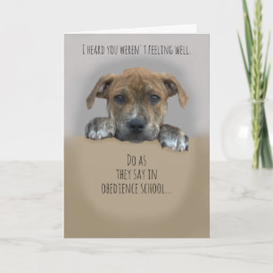 Cuidada Obtén Buena Tarjeta con Cachorro
