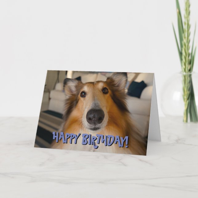 Cuidada tarjeta de cumpleaños collie (Anverso)
