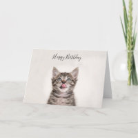 Cuidada tarjeta de cumpleaños de gatito
