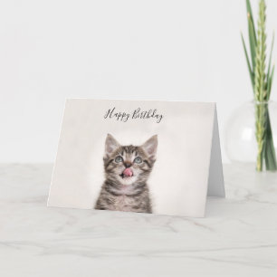 Cuidada tarjeta de cumpleaños de gatito